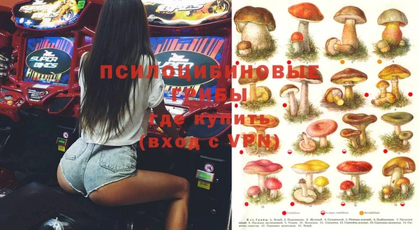 ГАЛЛЮЦИНОГЕННЫЕ ГРИБЫ Нязепетровск