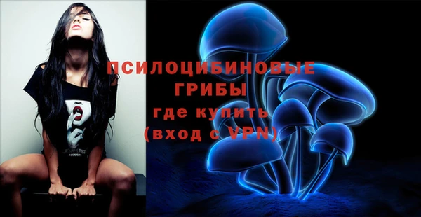 ГАЛЛЮЦИНОГЕННЫЕ ГРИБЫ Нязепетровск