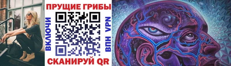 Псилоцибиновые грибы ЛСД  Балашиха 