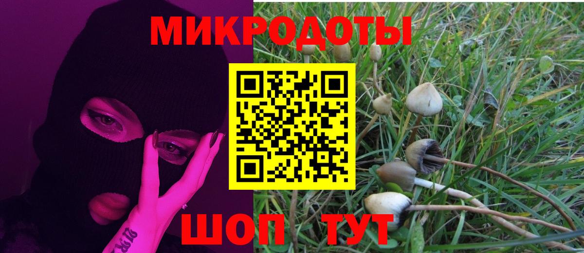 Псилоцибиновые грибы мицелий Балашиха