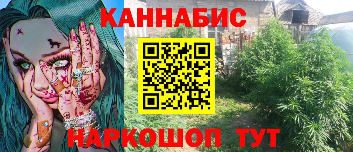 Бошки Шишки Bruce Banner  Бошки марихуана семена  Бошки марихуана Ganja  Вход с VPN  Балашиха 
